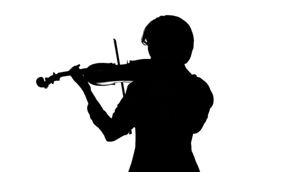 Violinist plays a classic work. White background. Silhouette. Slow motion — Stock Video