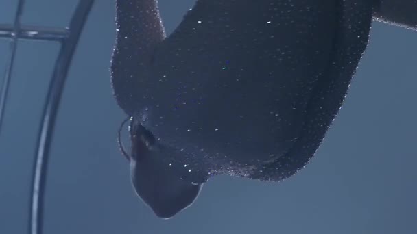 Sierlijke gymnast voert trucs op een speciaal ontwerp maan. Zwarte rook achtergrond. Slow-motion. Close-up — Stockvideo
