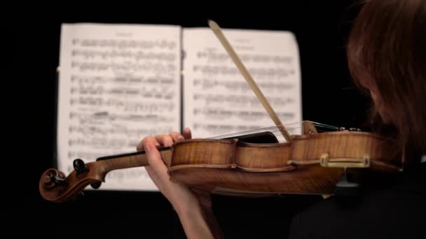 Violon près des arcs portent sur la corde derrière les feuilles avec des notes. Ferme là. Vue arrière.fond noir — Video