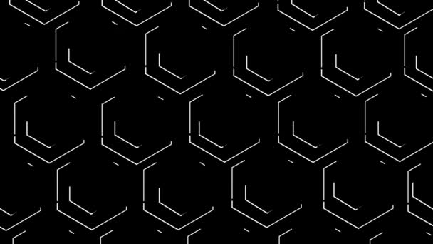 Double bee honeycomb hexagons are highlighted with white lines. Black background — Stock Video