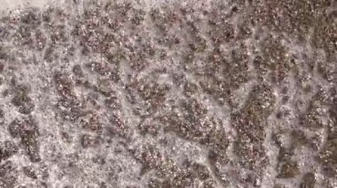 Dalgalar deniz kum üzerinde yakın çekim. Ağır çekim. Üstten görünüm