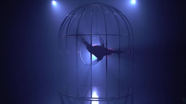 Gimnasta girando en un aro en una jaula. Fondo de humo azul. Silueta — Vídeo de stock