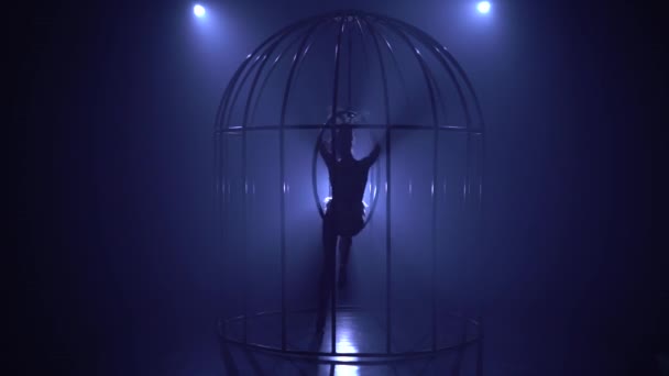 Une fille qui tourne sur un cerceau dans une cage. Fond de fumée bleue. Silhouette — Video