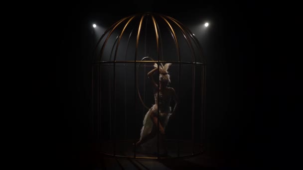 Fille gracieuse en costume d'oiseau chevauchant un cerceau dans une cage sur la scène. Fond de fumée noir — Video