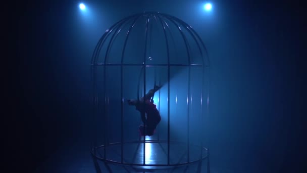 Chica en un cordel horizontal al revés girando en un aro en una jaula. Fondo de humo azul. Silueta. Movimiento lento — Vídeos de Stock