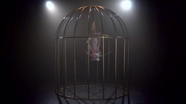 Sahne kız hava çember üzerinde dönen bir kafeste. Siyah duman arka plan. Ağır çekim