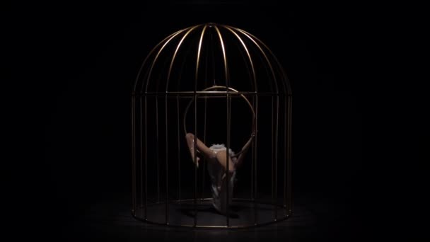 Gymnaste en costume d'oiseau montant un cerceau dans une cage. Fond noir. Mouvement lent — Video