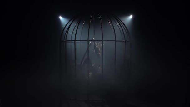 Ginasta em uma cena em uma gaiola executa acrobacias em traje de pássaro. Fundo de fumo preto. Silhueta. Movimento lento — Vídeo de Stock
