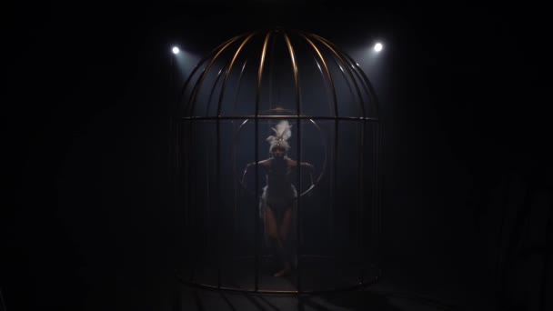 Gymnaste tournant sur un cerceau dans une cage d'or. Fond de fumée noire. Mouvement lent — Video