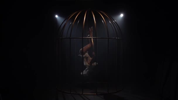 Fille tournant sur un cerceau dans une cage d'or. Fond de fumée noire. Mouvement lent — Video