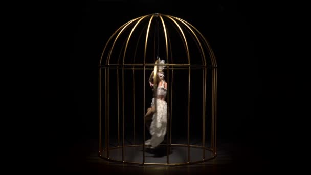 Graceful girl in bird costume riding a hoop in a cage on the stage. Black background — Stock Video