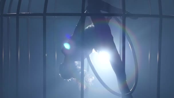 Silhouette d'une fille tournant sur un cerceau sur scène dans une cage. Fumée de fond. Au ralenti. Gros plan — Video
