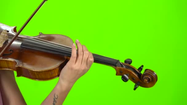 Os dedos do músico prendem as cordas no violino. Tela verde. Fechar — Vídeo de Stock