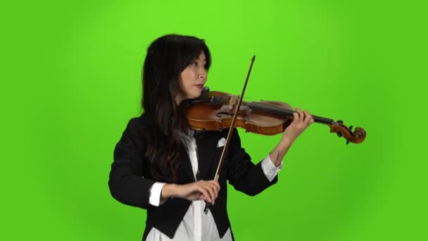 Musicien debout et jouant du violon. Écran vert — Video