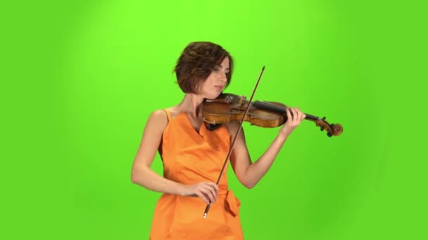 El músico del estudio toca el violín. Pantalla verde — Vídeo de stock