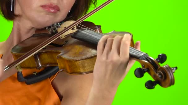 演奏ヴァイオリンをクローズ アップ。緑色の画面 — ストック動画
