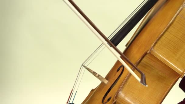 Spelen van de cello close-up. Witte achtergrond — Stockvideo