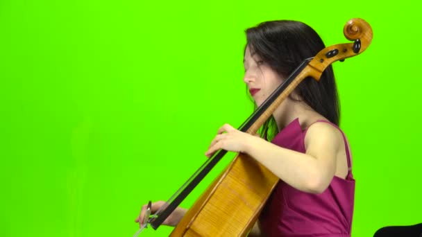 O músico toca violoncelo profissionalmente. Tela verde. Vista lateral — Vídeo de Stock