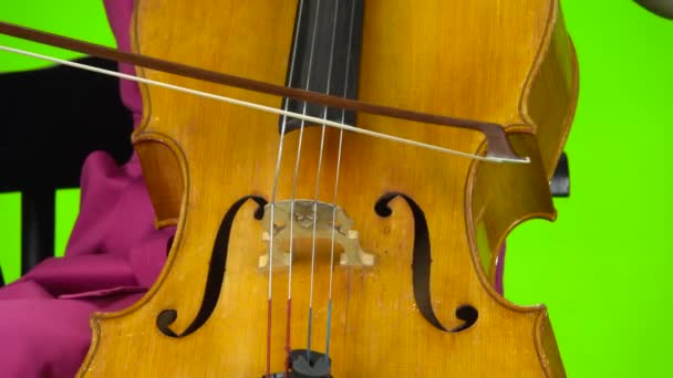 L'arco di violoncello tocca le corde. Schermo verde. Da vicino. — Video Stock