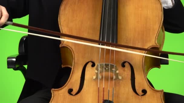Cello dicht omhoog boog raakt de snaren. Groen scherm — Stockvideo