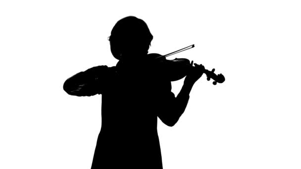 Violinist performs on a violin in a white studio.White background. Silhouette — Stock Video