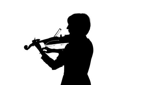 La violinista tiene un arco in mano e suona. Sfondo bianco. Silhouette — Video Stock