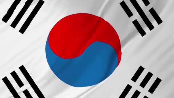 Bandera de Corea del Sur ondeando en el viento 2 en 1 — Vídeos de Stock