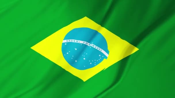 Bandeira loopable brasileira 2 em 1 — Vídeo de Stock