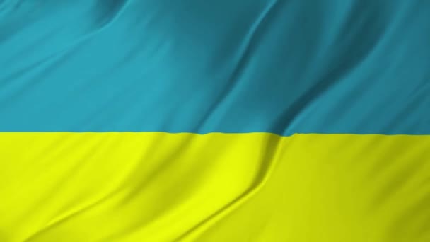 ウクライナ国旗アニメーション 2 の 1 — ストック動画