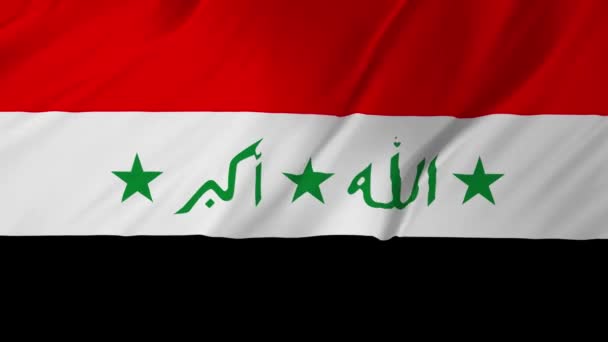 Realistic Flag of Iraq Loop 2 in 1 — Stock Video