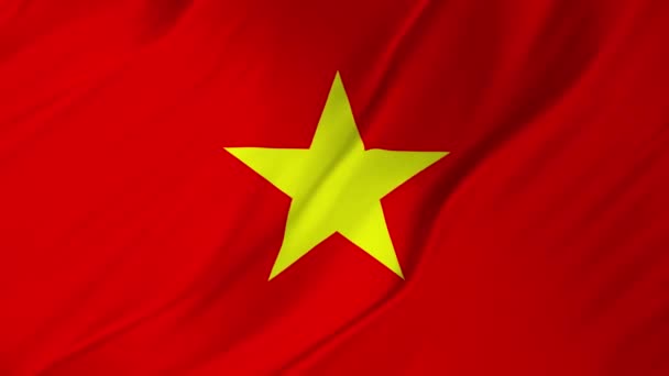 Flag of Vietnam with fabric structure looping 2 in 1 — Stock Video