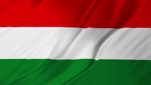 Bandera de Hungría ondeando suavemente en el viento 2 en 1 — Vídeo de stock