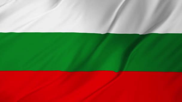 Flag of Bulgaria beautiful animation 2 in 1 — Stock Video