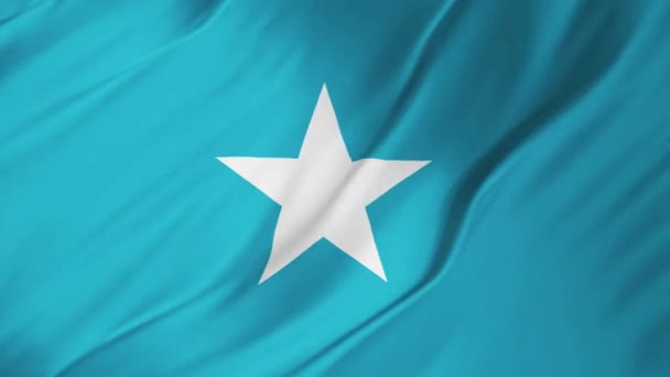 Bandiera della Somalia sventola al vento 2 in 1 — Video Stock