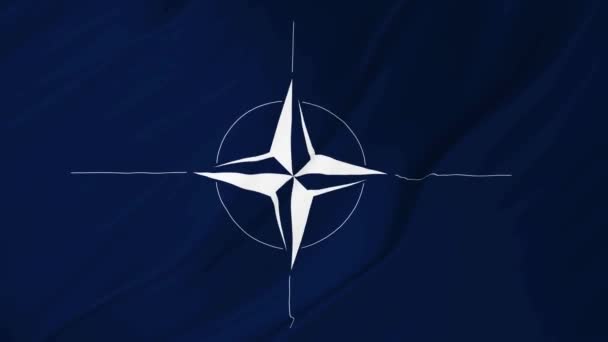 NATO vlajka animace 2 v 1 — Stock video