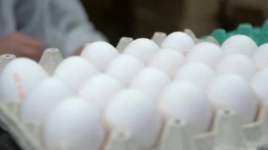 Fabrika çalışanları beyaz yumurta karton tabaklarda yüklüyorsunuz. Ağır çekim