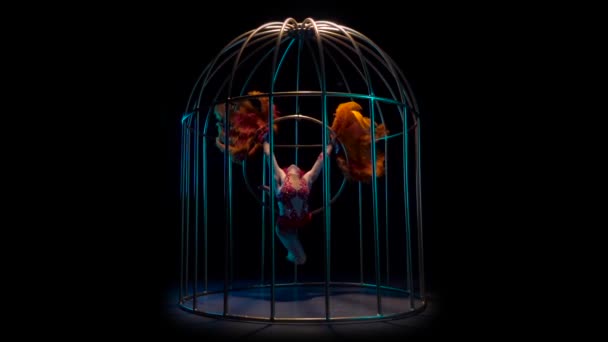 Acrobat tournant sur un cerceau dans une cage avec des plumes dans les mains. Fond noir. Mouvement lent — Video