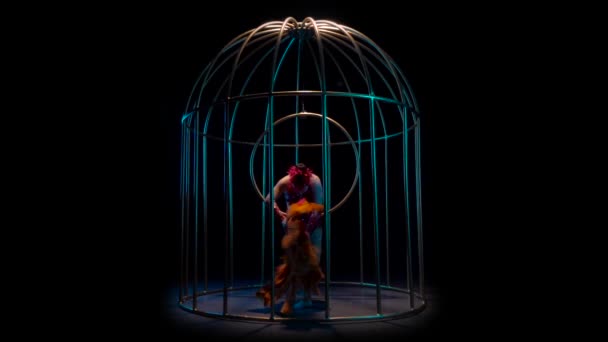 Ηθοποιός περιστρέφεται στον αέρα στεφάνη σε ένα κλουβί. Μαύρο φόντο. Αργή κίνηση — Αρχείο Βίντεο