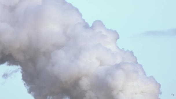 El humo en el atardecer de invierno 001 — Vídeos de Stock