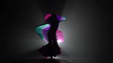 Talanted egzotik dansöz kız görevini yerine getirmektedir. Sihouette. Siyah duman arka plan