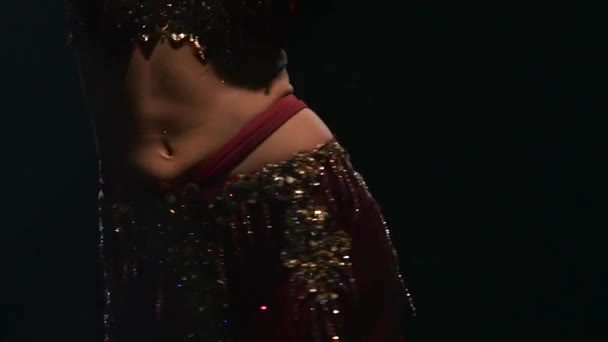 Girl torso traditional oriental belly dancer. Black background. Slow motion. Close up — Stock Video