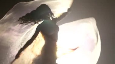 Oryantal dansçı lüks bir elbise döner. Duman geçmişi. Yavaş hareket. Sihouette