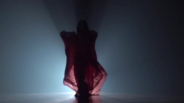 Dans göbek dansı onun hareketleri şifon elbise benzersizdir. Duman geçmişi. Sihouette, hayır. Yavaş hareket