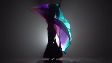 Kız çok renkli şal ile oryantal dans dans başlar. Sihouette, hayır. Siyah duman arka plan. Yavaş hareket