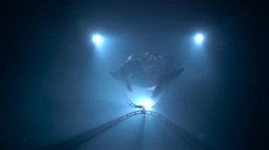 Stunts sahnede profesyonel jimnasir spin. Siyah duman arka plan. Yavaş hareket. Siluet