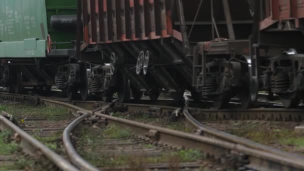 貨物列車の車両が走行中 — ストック動画