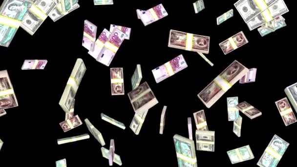 Verschillende bundels geld vallen — Stockvideo