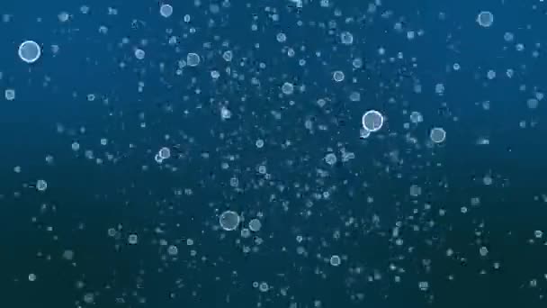 3D-animatie van transparante bubbels die van onder naar boven bewegen. — Stockvideo