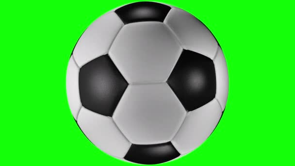 3D animation of perfect soccer ball rotating to the right. — Stock Video