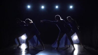 Balerinler modern balenin dans unsurlarıdır